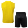 Borussia Dortmund Conjunto 2024 2025 Amarillo - Borussia Dortmund Barata | PTDHMALL