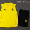 Borussia Dortmund Conjunto 2024 2025 Amarillo - Borussia Dortmund Barata | PTDHMALL