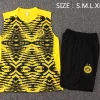 Borussia Dortmund Conjunto 2024 2025 Amarillo - Borussia Dortmund Barata | PTDHMALL