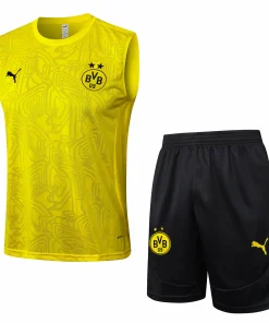 Borussia Dortmund Conjunto 2024 2025 Amarillo - Borussia Dortmund Barata | PTDHMALL
