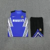 Inter Milán Conjunto 2025 2026 Azul - Inter Milán Barata | PTDHMALL