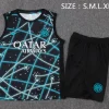Inter Milán Conjunto 2025 2026 Verde - Inter Milán Barata | PTDHMALL