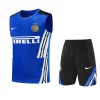 Inter Milán Conjunto 2025 2026 Azul - Inter Milán Barata | PTDHMALL