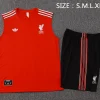 Liverpool Conjunto 2025 2026 Rojo - Liverpool Barata | PTDHMALL