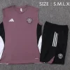 Manchester United Conjunto 2025 2026 Púrpura - Manchester United Barata | PTDHMALL