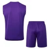 Real Madrid Conjunto 2025 2026 Púrpura - Real Madrid Barata | PTDHMALL