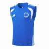 Chándal 2026 2027 Azul - Cruzeiro Ec 2026 | PTDHMALL