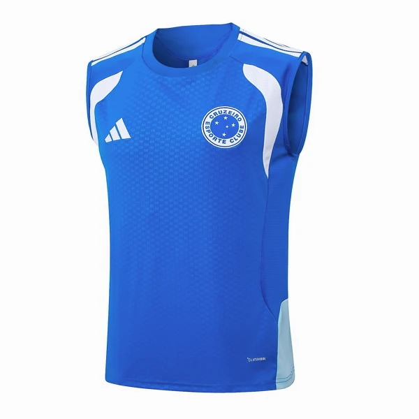 Chándal 2026 2027 Azul - Cruzeiro Ec 2026 | PTDHMALL
