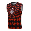 Flamengo Chándal 2025 2026 Rojo - Flamengo Barata | PTDHMALL