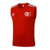 Flamengo Chándal 2025 2026 Rojo - Flamengo Barata | PTDHMALL