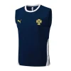 Portugal Chándal 2026 Azul - Portero Portugal | PTDHMALL