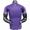 Manchester United Camiseta 2025 2026 Especial Púrpura - Camiseta Manchester United | PTDHMALL