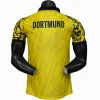 Borussia Dortmund Camiseta Edición Jugadores 2025 2026 Especial Amarilla - Camiseta Borussia Dortmund | PTDHMALL