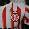 Inter Milán Camiseta Edición Jugadores 2025 2026 Especial Roja - Camiseta Serie A Inter Milán | PTDHMALL