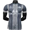 Marsella Camiseta Edición Jugadores 2025 2026 Especial Gris - Camiseta Marsella | PTDHMALL