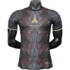 Paris Saint Germain Camiseta Edición Jugadores 2025 2026 Especial Gris - Camiseta Paris Saint Germain | PTDHMALL