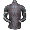 Paris Saint Germain Camiseta Edición Jugadores 2025 2026 Especial Gris - Camiseta Paris Saint Germain | PTDHMALL
