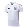 Ajax Polo 2025 2026 Blanco - Ajax Barata | PTDHMALL