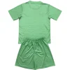 Everton Conjunto 2025 2026 Portero Verde - Everton Barata | PTDHMALL