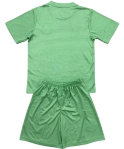 Everton Conjunto 2025 2026 Portero Verde - Everton Barata | PTDHMALL