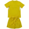 Inter Milán Conjunto 2025 2026 Portero Amarillo - Inter Milán Barata | PTDHMALL