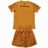 Conjunto 2025 2026 Portero Naranja - PSV Eindhoven Niños Barata | PTDHMALL
