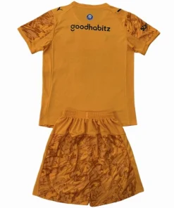 Conjunto 2025 2026 Portero Naranja - PSV Eindhoven Niños Barata | PTDHMALL