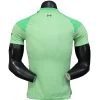 Liverpool Camiseta Edición Jugadores 2025 2026 Portero Verde - Camiseta Liverpool | PTDHMALL