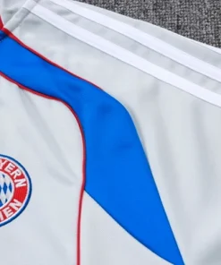 Bayern Múnich Chándal 2025 2026 Gris - Bayern Múnich Barata | PTDHMALL