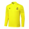 Borussia Dortmund Chándal 2024 2025 Amarillo - Borussia Dortmund Barata | PTDHMALL