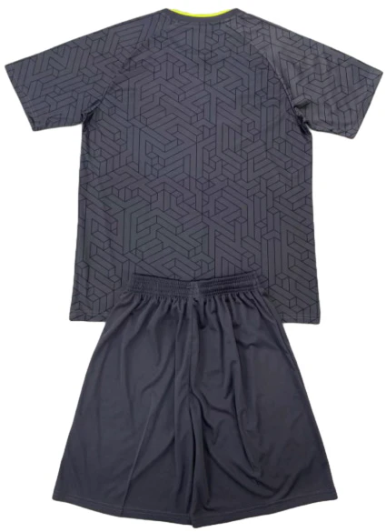 Everton Conjunto 2024 2025 Segunda Gris - Everton Barata | PTDHMALL