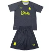Everton Conjunto 2024 2025 Segunda Gris - Everton Barata | PTDHMALL