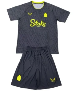 Everton Conjunto 2024 2025 Segunda Gris - Everton Barata | PTDHMALL