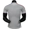 Crystal Palace Camiseta Edición Jugadores 2025 2026 Segunda Blanca - Camiseta Crystal Palace | PTDHMALL