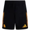 AS Roma Pantalones 2025 2026 Segunda Negro - AS Roma Barata | PTDHMALL