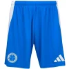 Pantalones 2025 2026 Segunda Azul | PTDHMALL