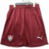 Fluminense Pantalones 2026 2027 Segunda Rojo - Portero Fluminense | PTDHMALL