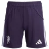 Manchester United Pantalones 2025 2026 Segunda Púrpura - Manchester United Barata | PTDHMALL