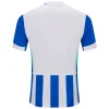 Camiseta 2025 2026 Casa Azul - Camisetas De Futbol Retro | PTDHMALL