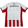 Camiseta 2025 2026 Casa Roja - Camiseta Psv Eindhoven | PTDHMALL