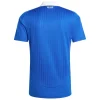 Camiseta 2024 2025 Casa Azul - Camisetas De Futbol Retro | PTDHMALL