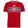 Gales Camiseta 2026 Casa Roja - Camiseta Gales Rugby | PTDHMALL
