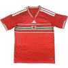 Gales Camiseta 2026 Casa Roja - Camiseta Gales Rugby | PTDHMALL