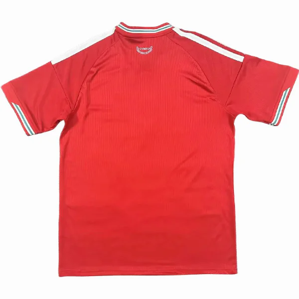 Gales Camiseta 2026 Casa Roja - Camiseta Gales Rugby | PTDHMALL