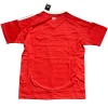 SC Internacional Camiseta 2025 2026 Casa Roja - Camiseta Sc Internacional | PTDHMALL
