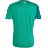 Irlanda Del Norte Camiseta 2026 Casa Verde - Camiseta Irlanda Del Norte | PTDHMALL