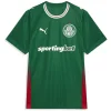 Camiseta 2026 2027 Casa Verde - Camiseta Kidsuper X Se Palmeiras Graphic Masculina | PTDHMALL