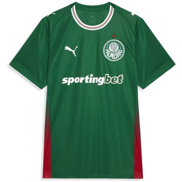 Camiseta 2026 2027 Casa Verde - Camiseta Kidsuper X Se Palmeiras Graphic Masculina | PTDHMALL