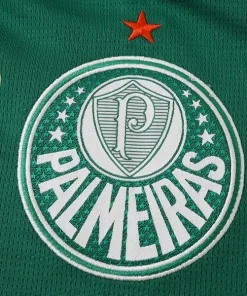 Camiseta 2026 2027 Casa Verde - Camiseta Kidsuper X Se Palmeiras Graphic Masculina | PTDHMALL