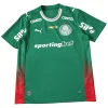 Camiseta 2026 2027 Casa Verde - Camiseta Kidsuper X Se Palmeiras Graphic Masculina | PTDHMALL